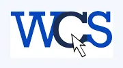 Willis Computer Solutions