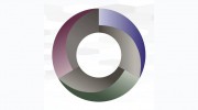 B C Networks