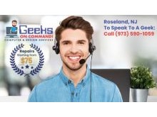 Computer Repair in Roseland, NJ